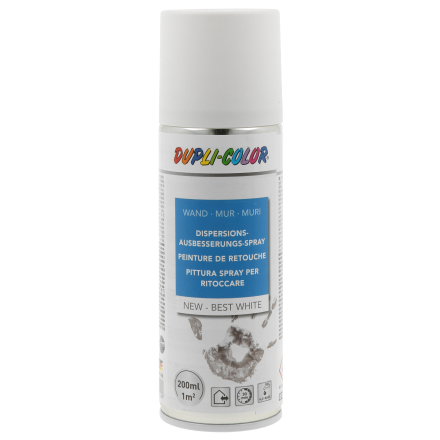 SPRAY DE RÉPARATION À DISPERSION PROFESSIONNEL
